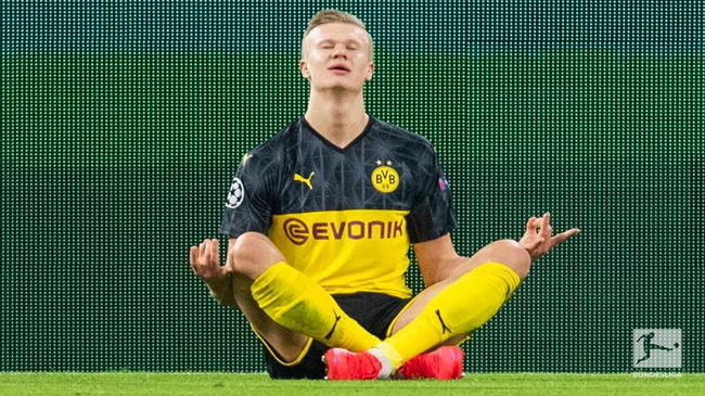 衷与观赏性